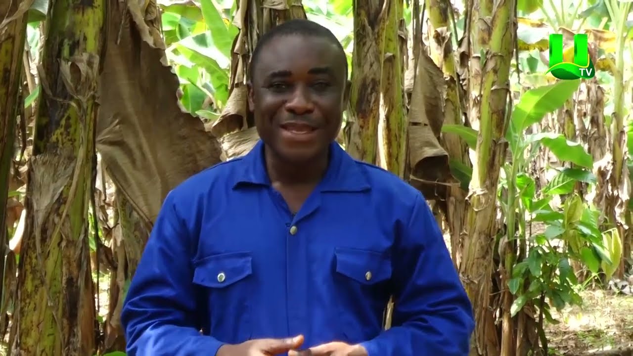 AYEKOO:  2017 NATIONAL BEST FARMER; PROGRESS SO FAR