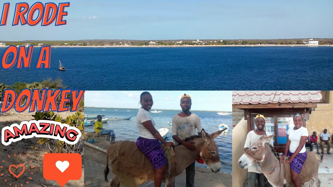 THINGS TO DO IN LAMU- DONKEY RIDE TO SHELA BEACH AND SHELA SAND DUNES-THE MOST BEAUTIFUL PLACE#fyp