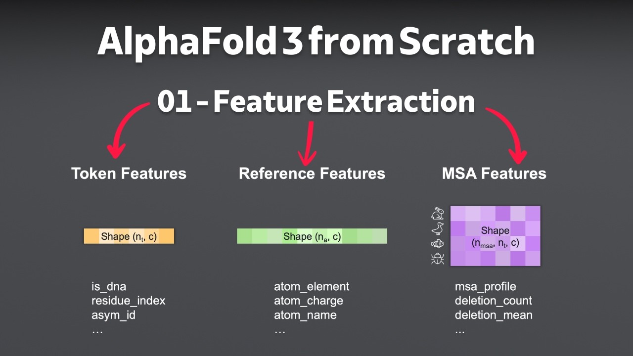 AlphaFold 3 from Scratch in Pytorch - Feature Extraction (Chapter 1)