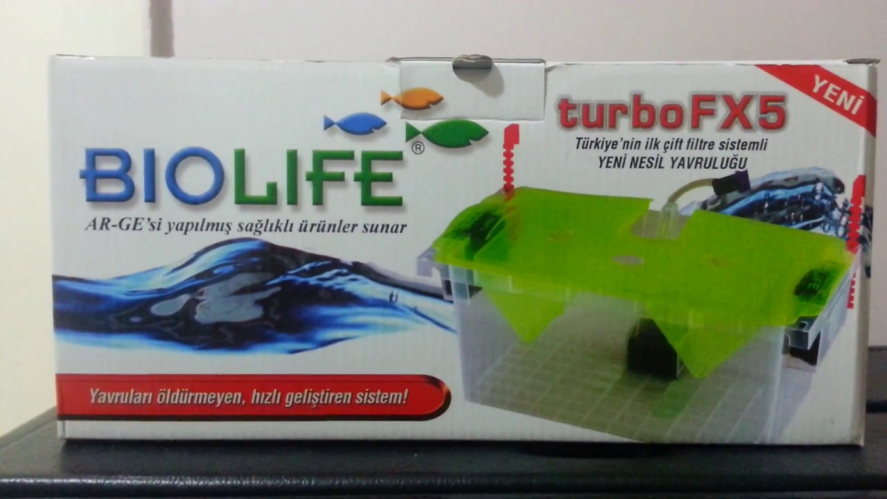 Hobihanem - Biolife Turbo FX5 Yavruluk İnceleme & Tanıtımı