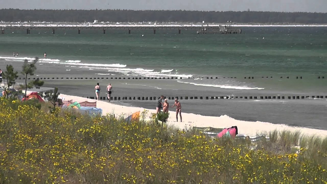 Eine Liebeserklärung an Prerow und den Darss/Ostsee