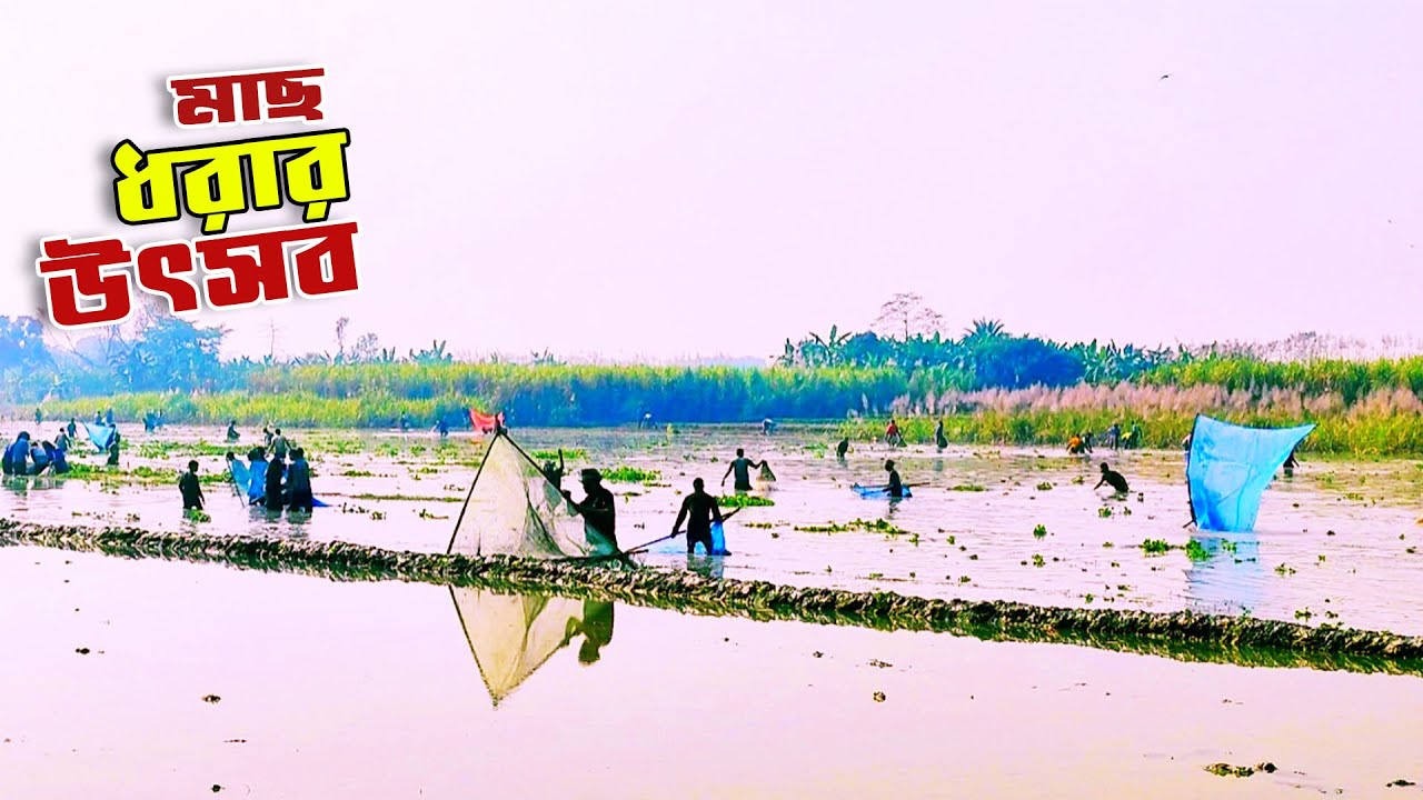 মাছ ধরার প্রতিযোগিতা ।। Forhad Hossen