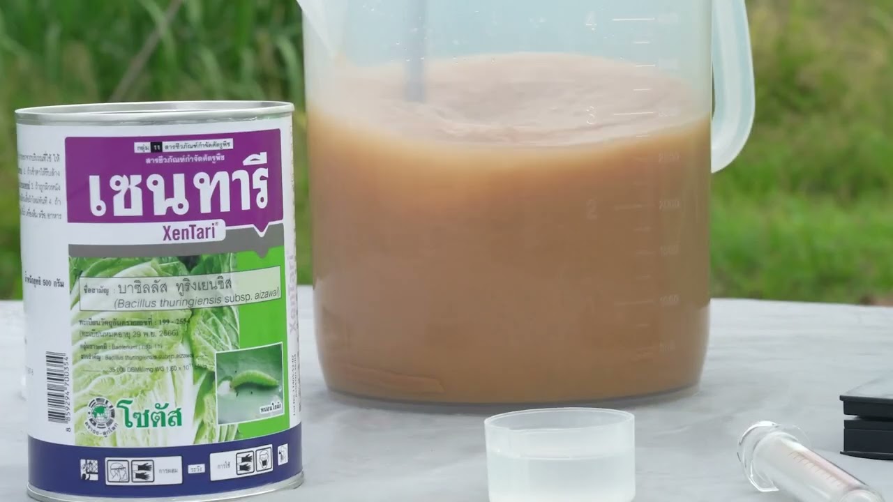 How to use and apply a Bt Biopesticide for Fall Armyworm Control