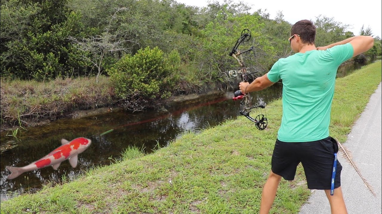 Bow Fishing Colorful Fish To Feed My Massive Pets!!