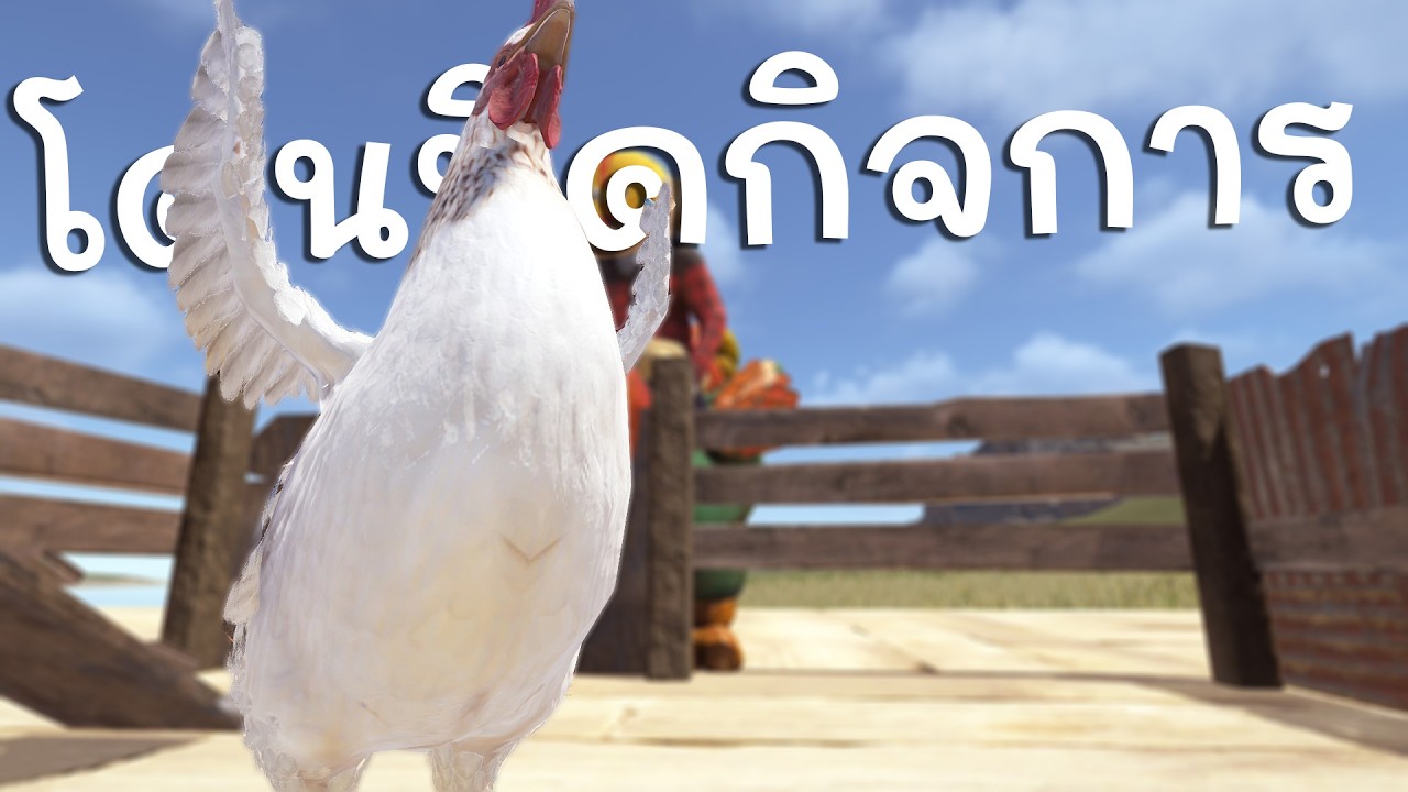 ตั้งใจจะเปิดฟาร์มไก่แต่รุ่นใหญ่ไม่ให้เปิด Rust