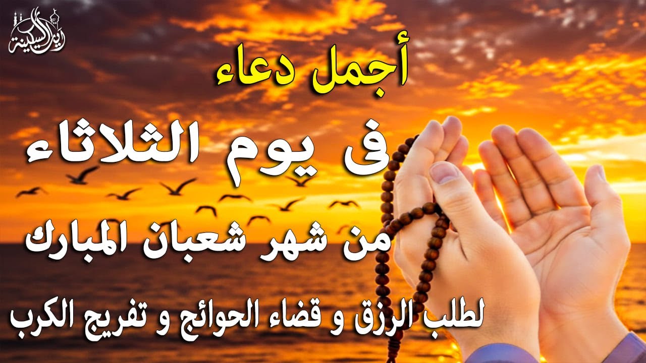 دعاء فى يوم الثلاثاء المستجاب دعاء في يوم 8 من شهر شعبان للرزق والشفاء العاجل وقضاء الحوائج 🤲(4k)