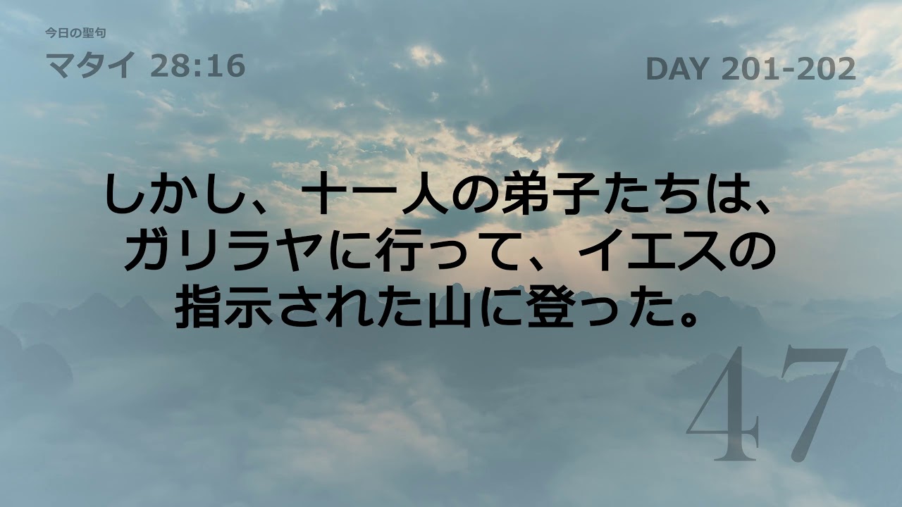 Tefillin 1189 マタイ 28:16 (Day 201-202)