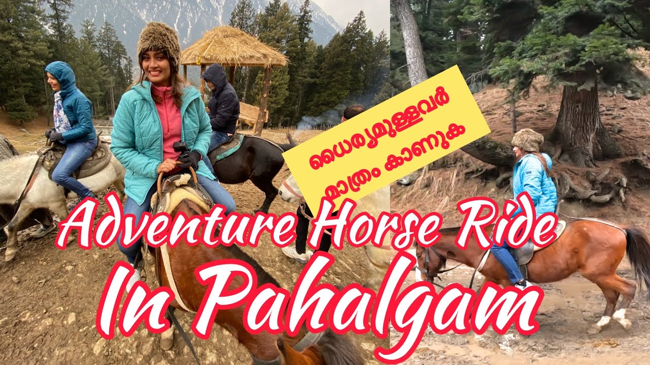 Pahalgam Kashmir Trip | Mini Switzerland |Adventure Horse Ride in Pahalgam| Kashmir in Winter|Day 4|