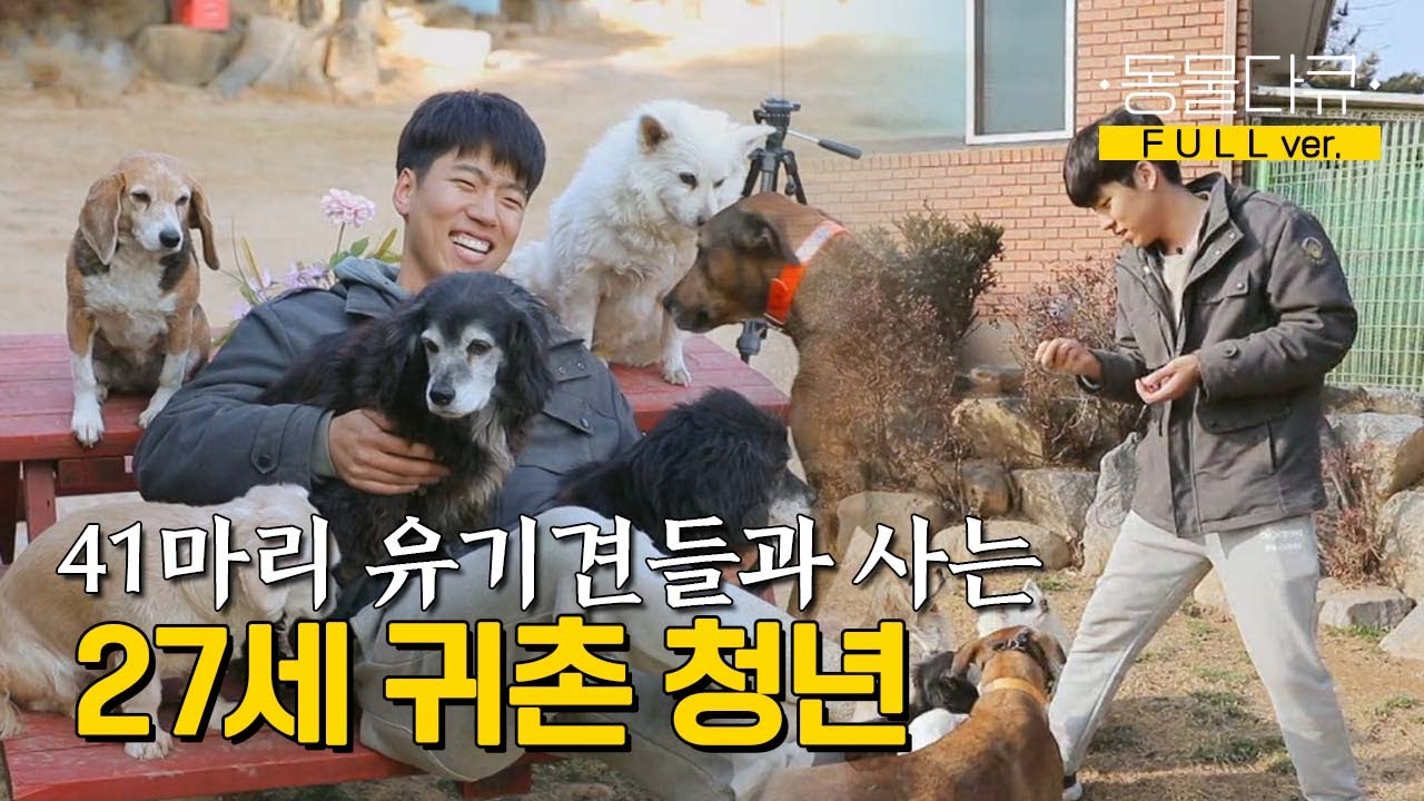 [동물극장 유튜브 오리지널] 상처받은 아이들을 평생의 단짝으로 품어준 스물일곱 지훈 씨 l 동물극장 단짝 EP1 l KBS 220121 방송