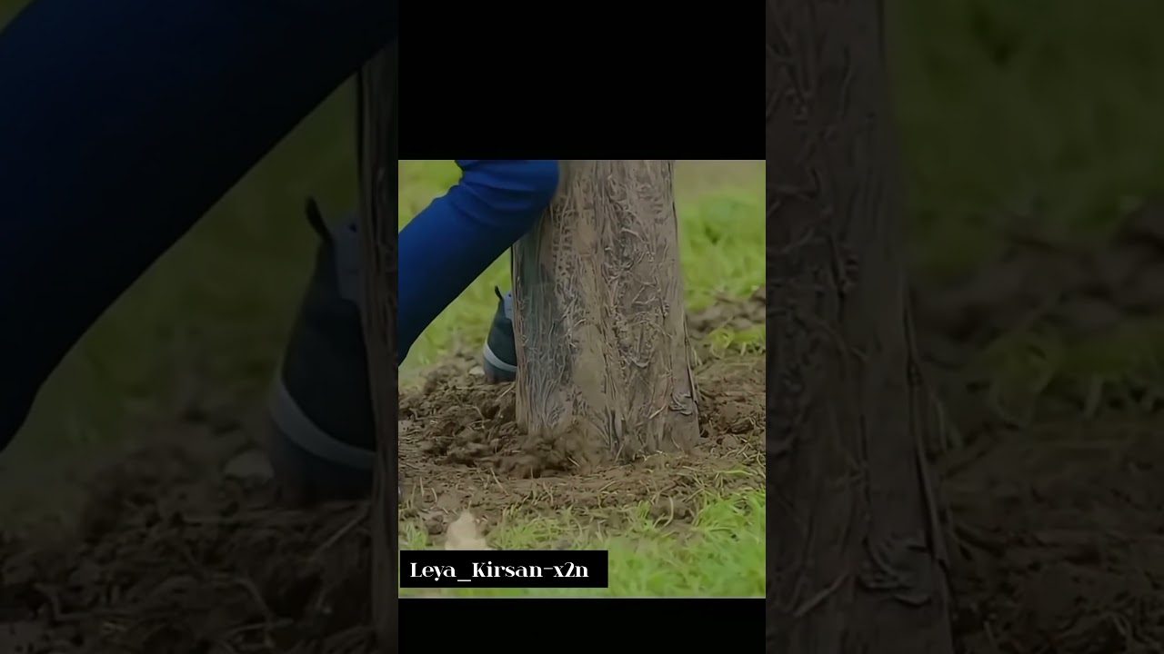 Leya_Kirsan-x2n eskandar Tozkoparan ❤️ &hearts;️ 💖 😍 ✨️ 💕 ❤️