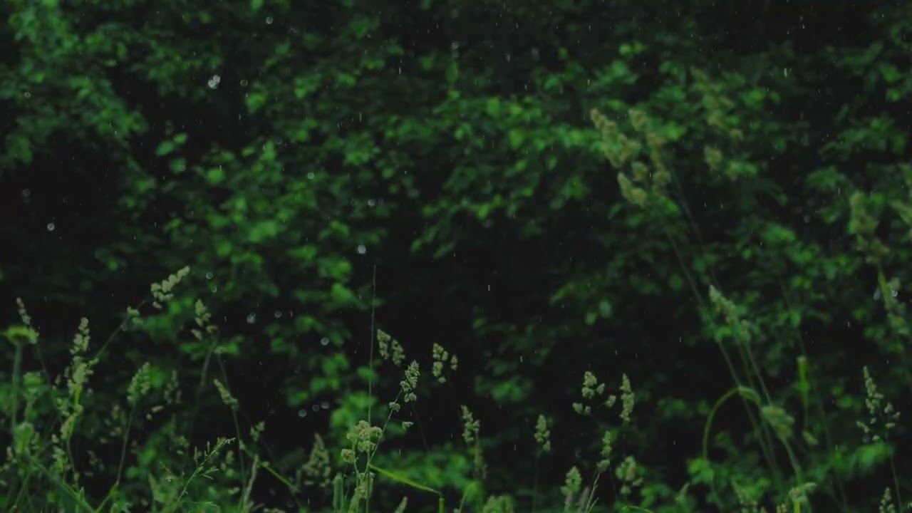 Cozy Rain & Satisfying Visuals to Melt Your Stress ✨| Zen Vibe