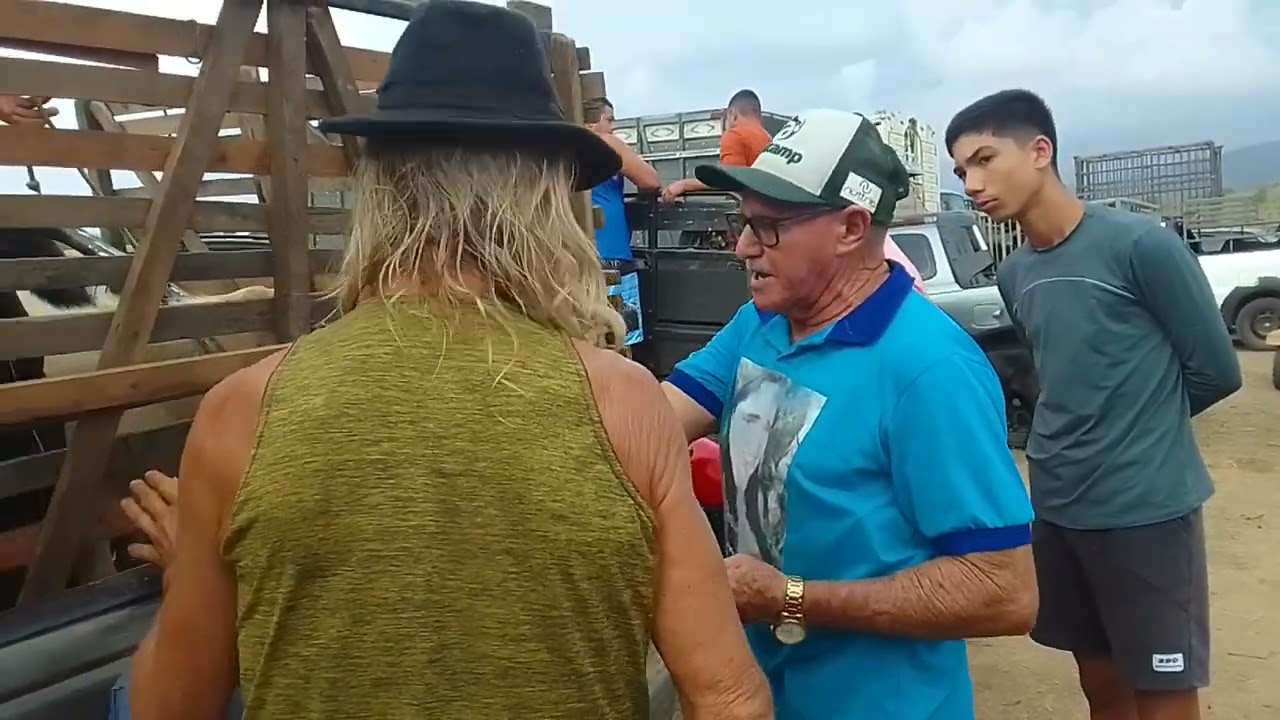 Feira do gado de Guarabira PB 05/02/26 🌵🤠