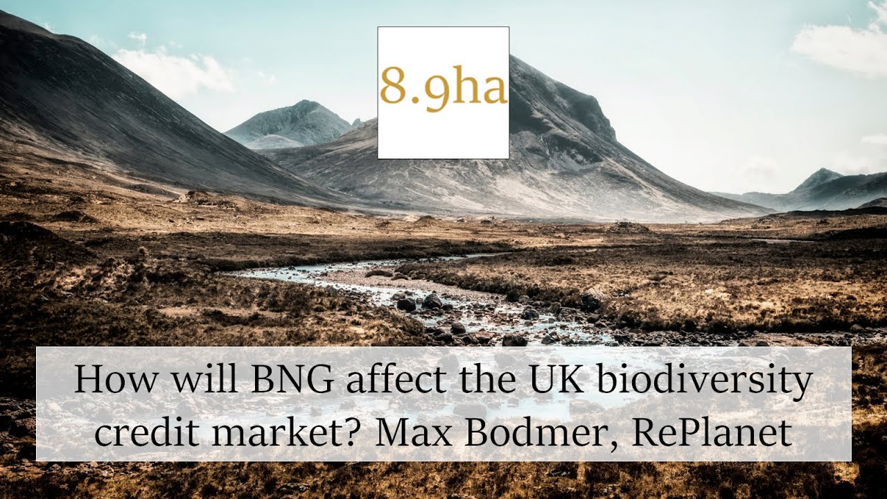 How will BNG affect the UK biodiversity credit market? Max Bodmer, RePlanet