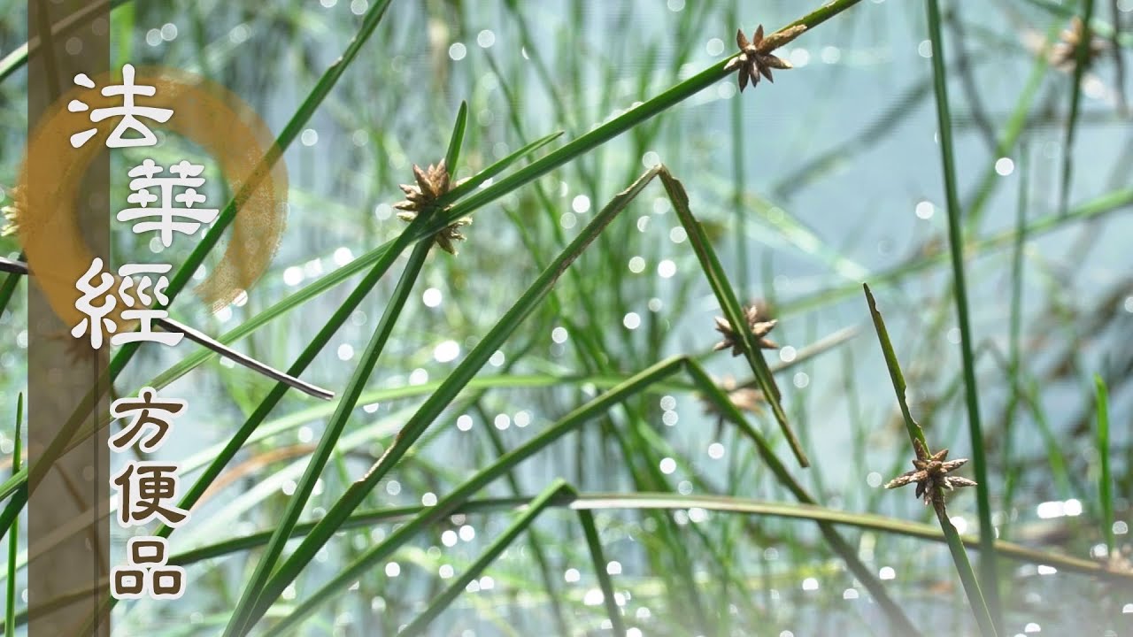 【靜思妙蓮華】法華經方便品 - 惑蔽真如 如礦藏金 - 20200519 第295集