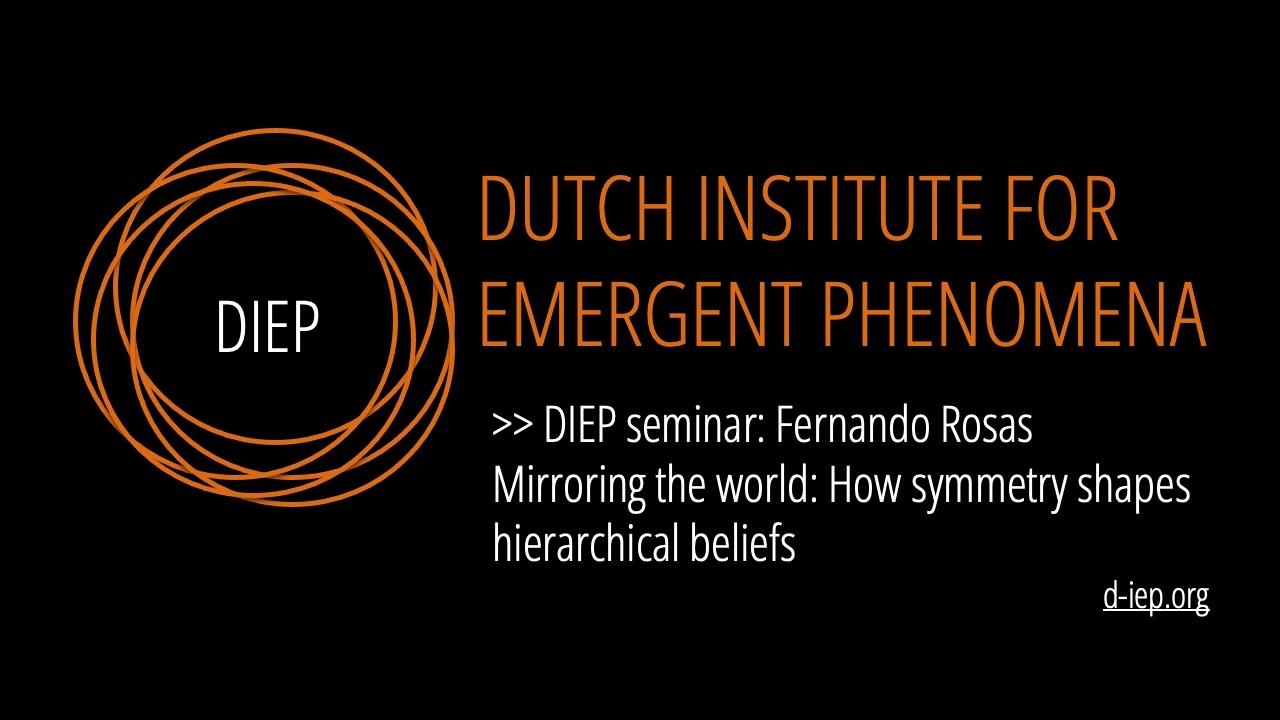 Mirroring the world: How symmetry shapes hierarchical beliefs by Fernando Rosas