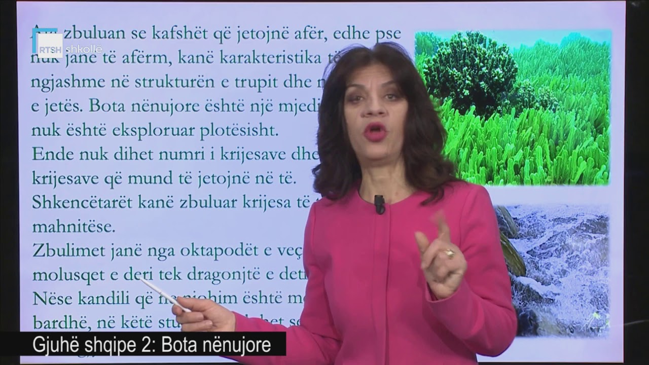Gjuhë shqipe 2 - Bota nënujore