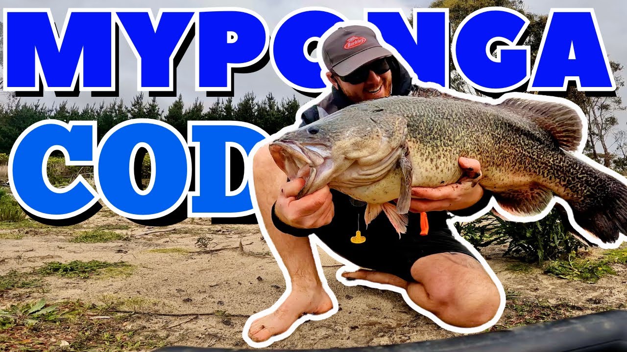 Fishing For BIG Murray Cod 🎣 (Fishing South Australia)