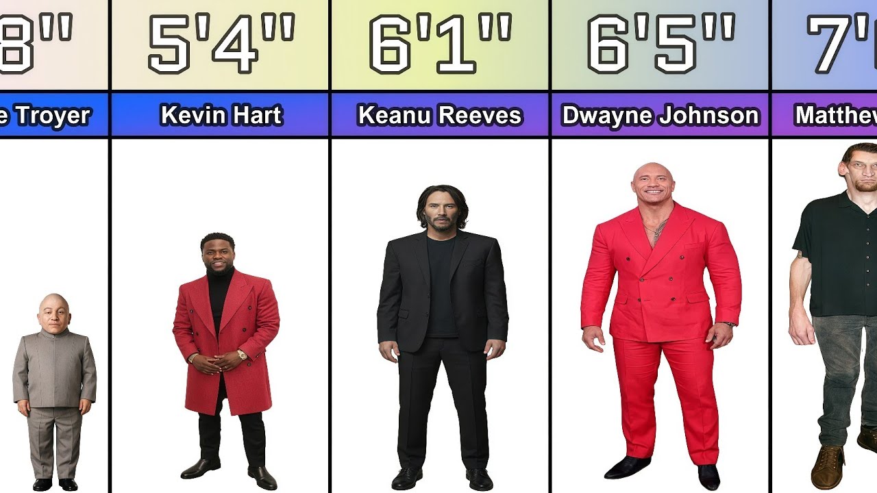 Famous Actors Height Comparison | Shortest to Tallest
