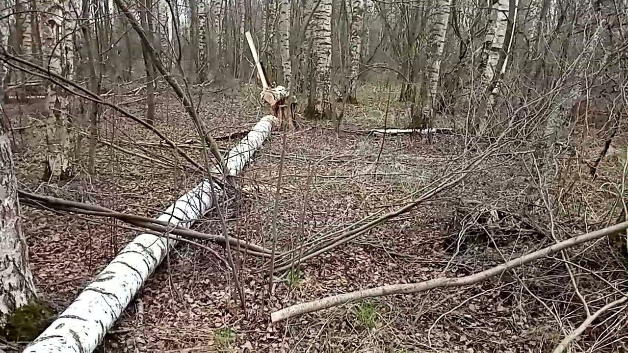 гусеничный вездеход 