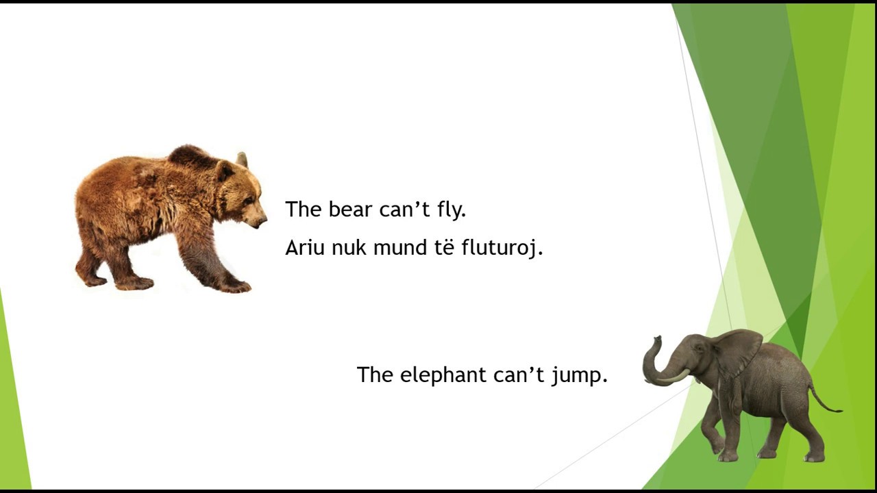 Klasa I - Animals can/can't - Kafshet mund/nuk mund - ne Gjuhen Angleze