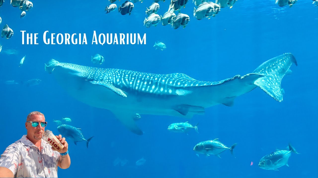 The Georgia Aquarium | Giant Whale Shark | Getting Soaked By The Dolphins