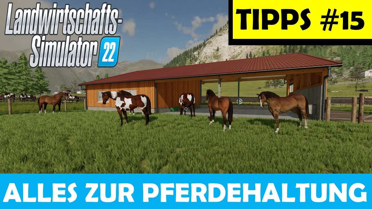 LS22 🚜 EINSTEIGER TIPPS #15 🍂 ALLES ZUR PFERDEHALTUNG 🍂 Stallbau, Tiere, Futter + Pflege !