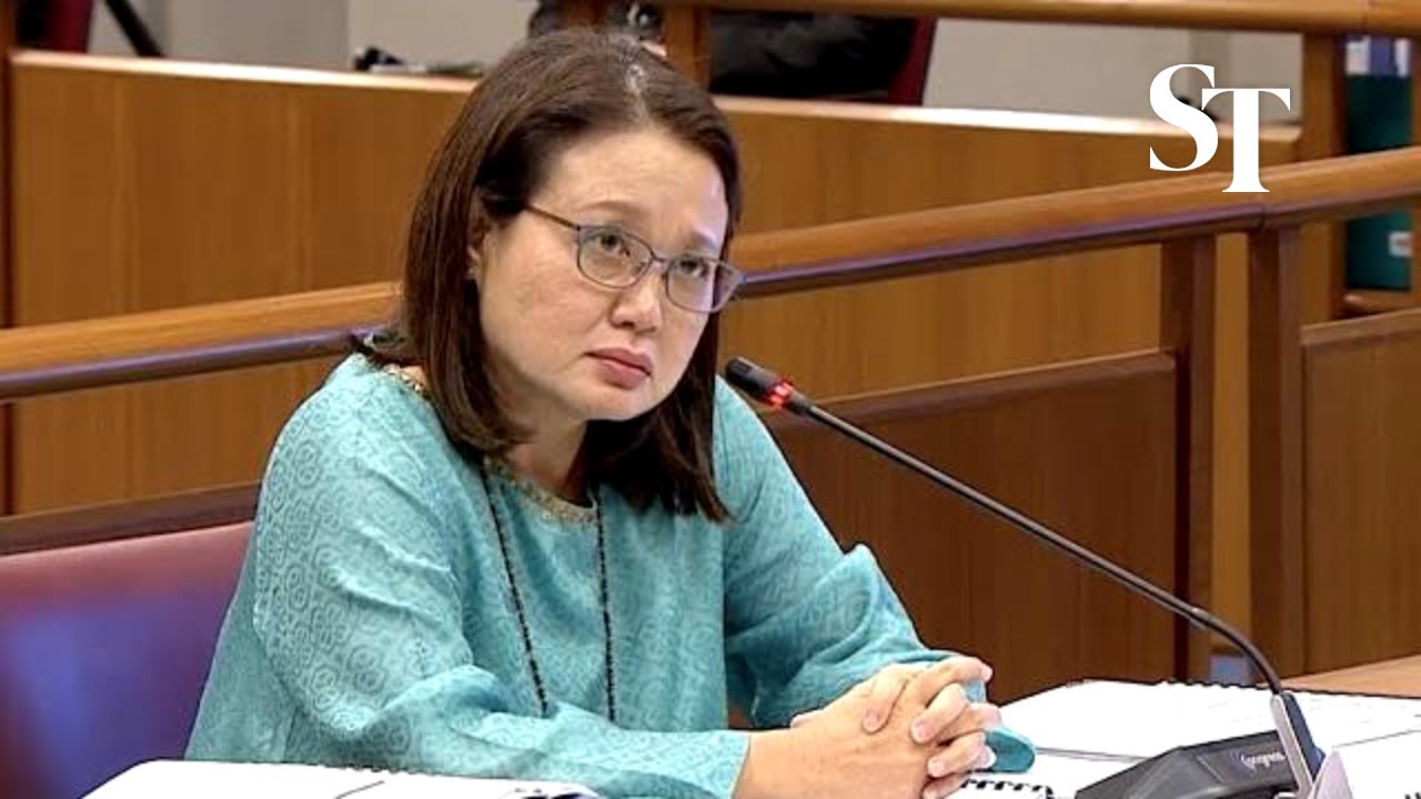 I can't fathom possibility Pritam gave Raeesah choice to continue lie: Sylvia Lim