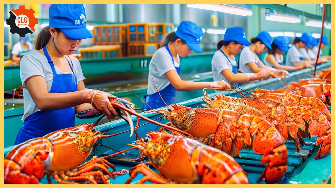 Food Industry Machines That Are At Another Level ▶124
