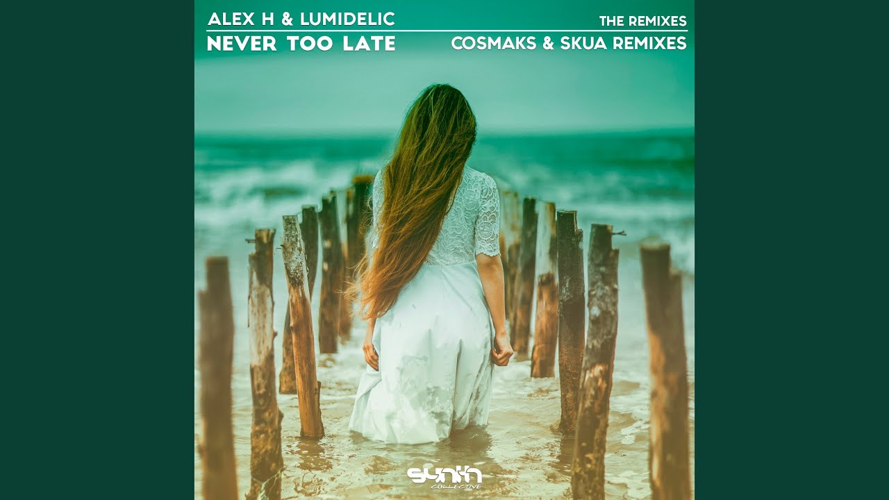 Never Too Late (Cosmaks Remix)