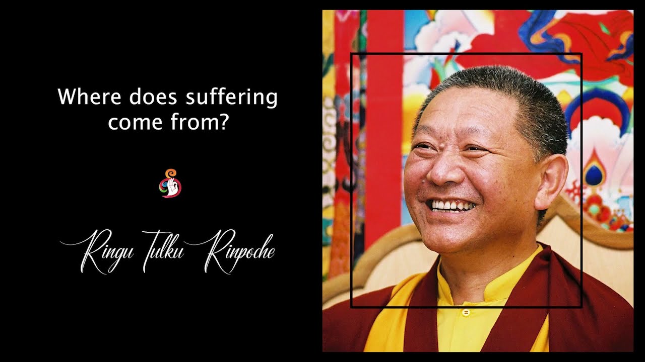 8. Where does suffering come from? | Answers for Students | Ringu Tulku Rinpoche