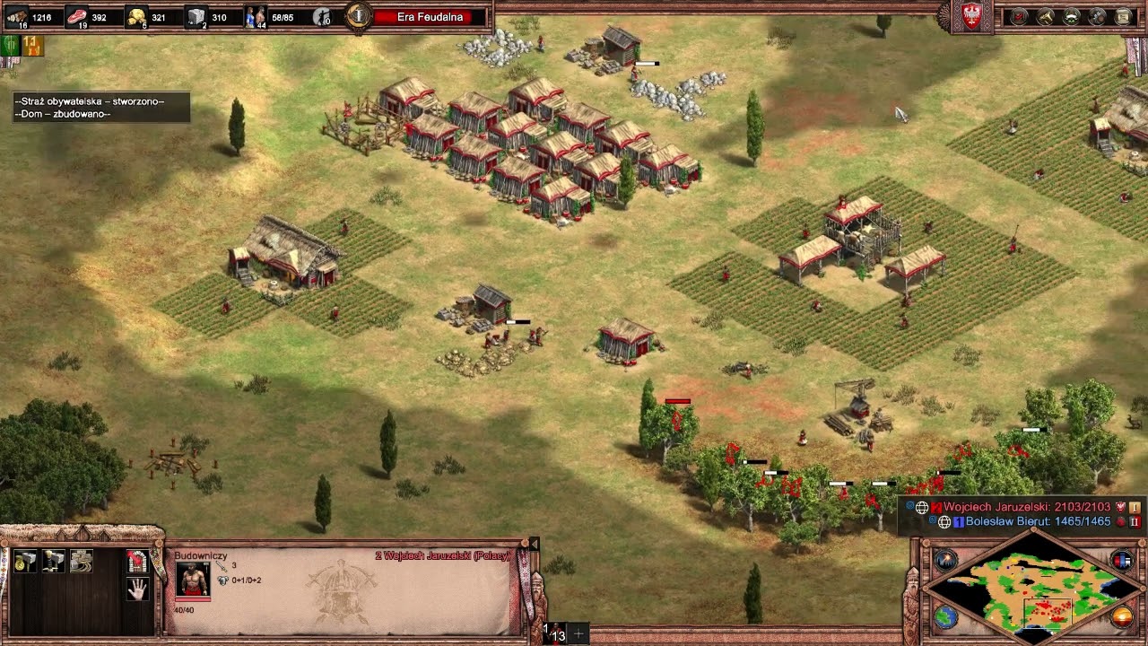 AoEII Wilk VS Arusek