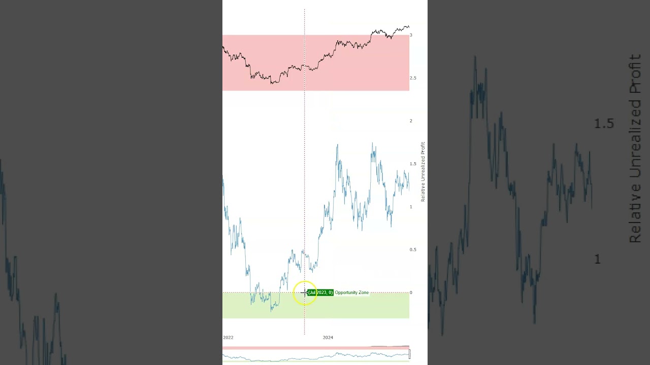 Relative Unrealized Profits Chart (RUPL)