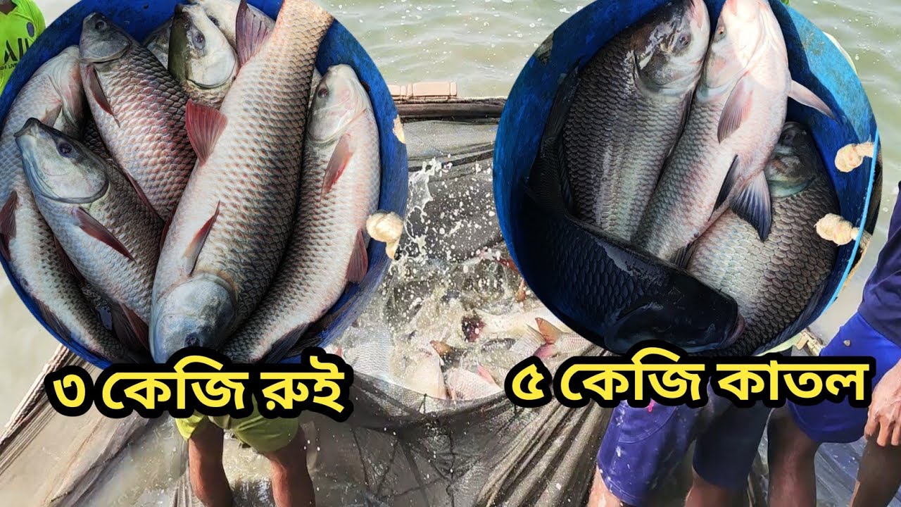 ০৯-০১-২৪ আজ একটি পুকুর পাড়ে থেকে ৩ কেজি রুই ও ৫ কেজি সাইজের কাতলা মাছ কিনলাম