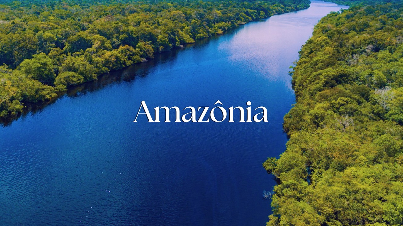 Into the Amazon I Calm Piano for Meditation, Prayer & Nature Contemplation