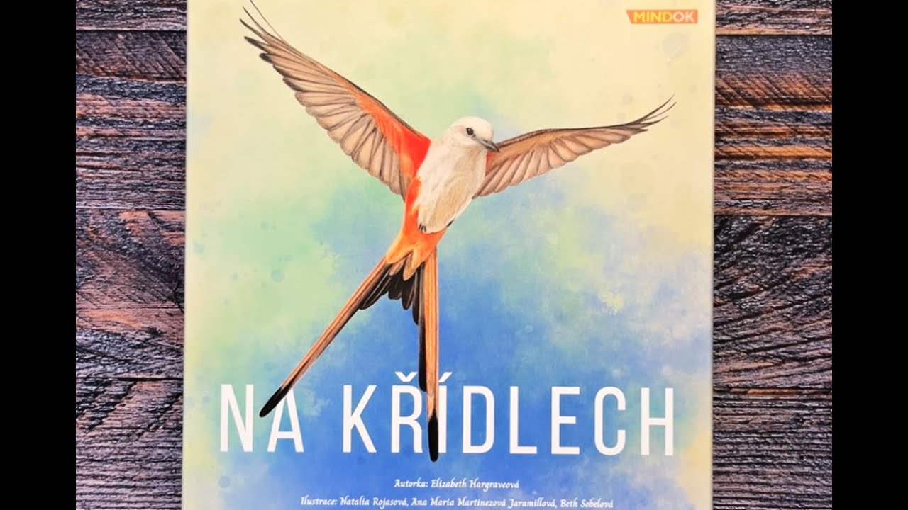 Na křídlech - sólo gameplay + pravidla