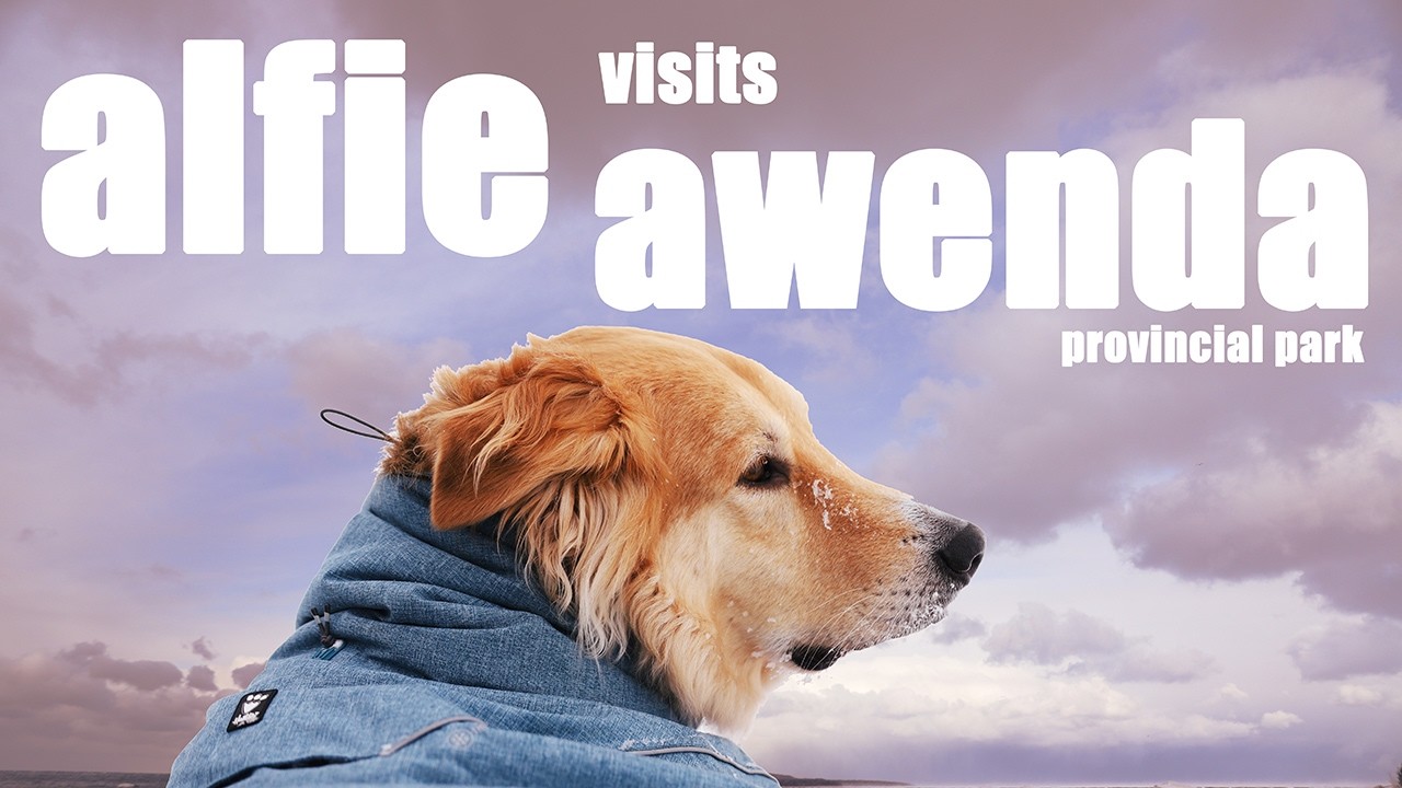 Alfie visits Awenda Provincial Park - winter walk