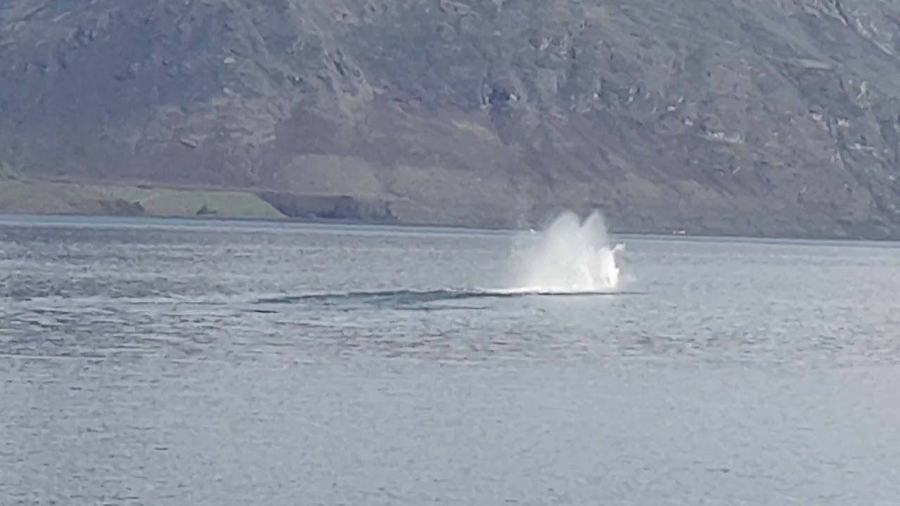 Hydro Attack Semi Submersible Shark ride by me, Queenstown, New Zealand