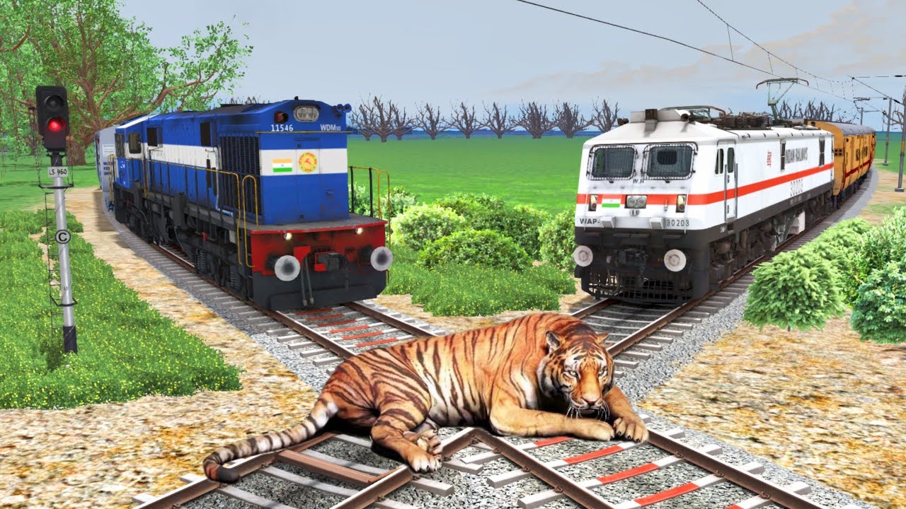 ANGRY TIGER vs TWO TRAINS | Stops the Train at DIAMOND CROSSING – Train Simulator 2025 #train