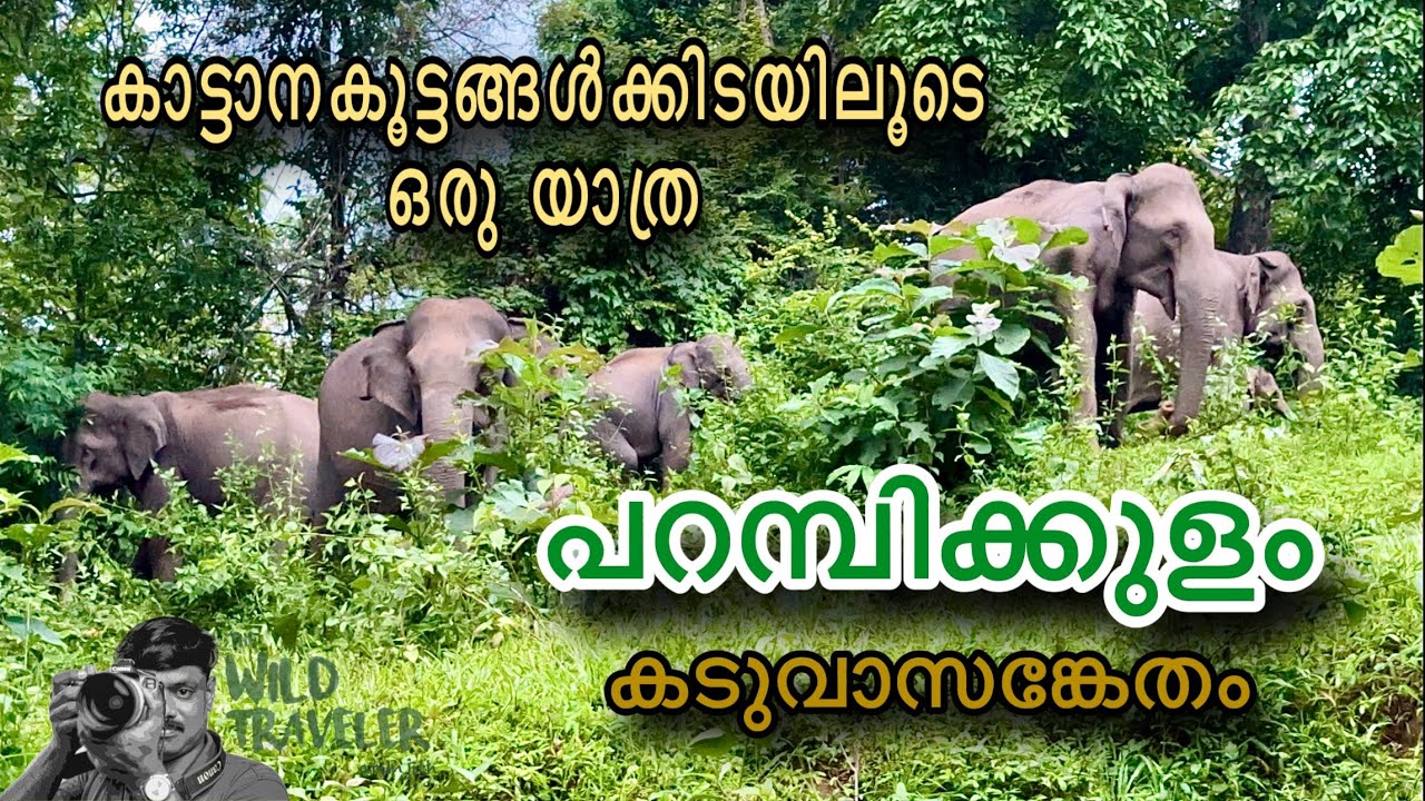 പറമ്പിക്കുളം യാത്രയിലെ മുഴുവൻ പ്രോഗ്രാമുകളും ഉൾപ്പെടുത്തിയ ഒരു വീഡിയോ