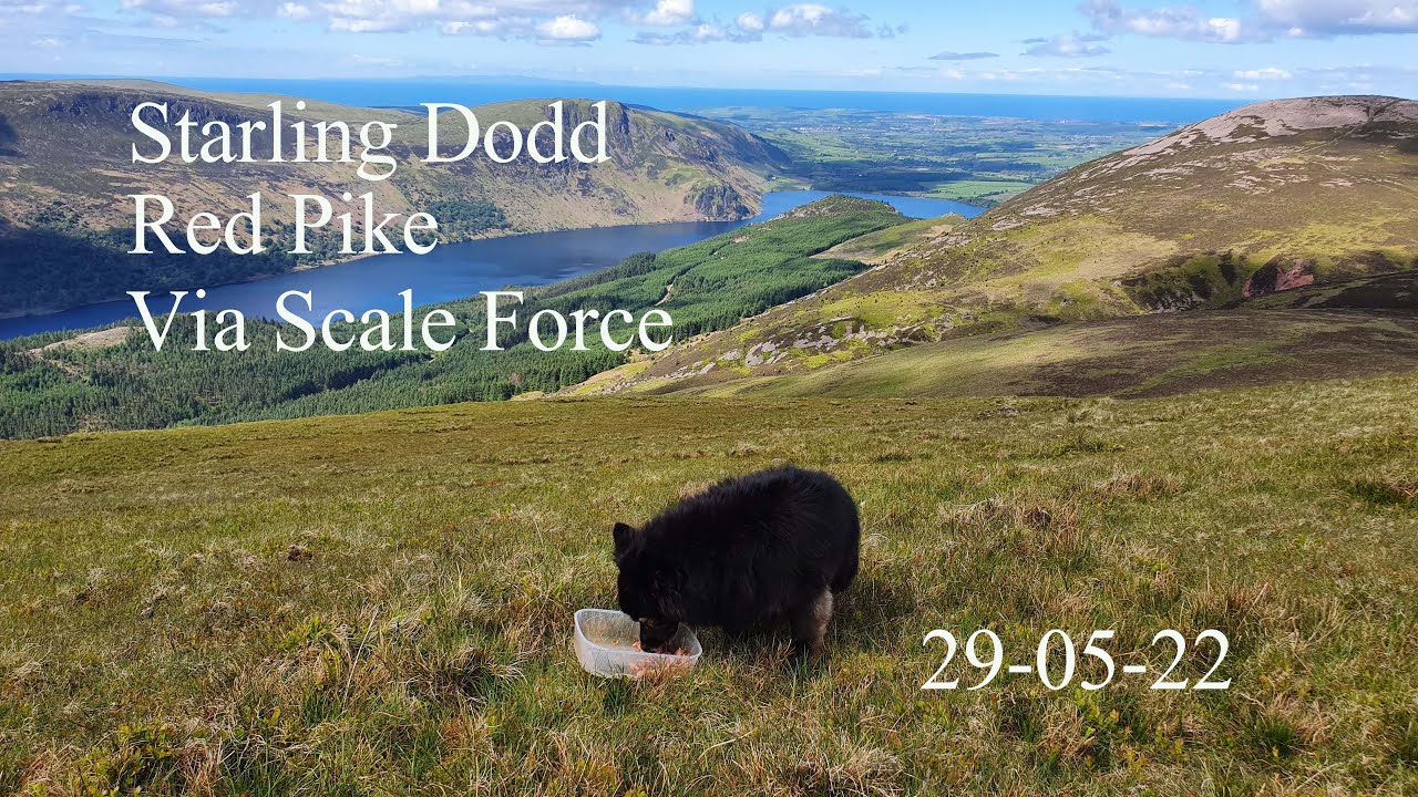 29-05-22 - Starling Dodd, Red Pike via Scale Force