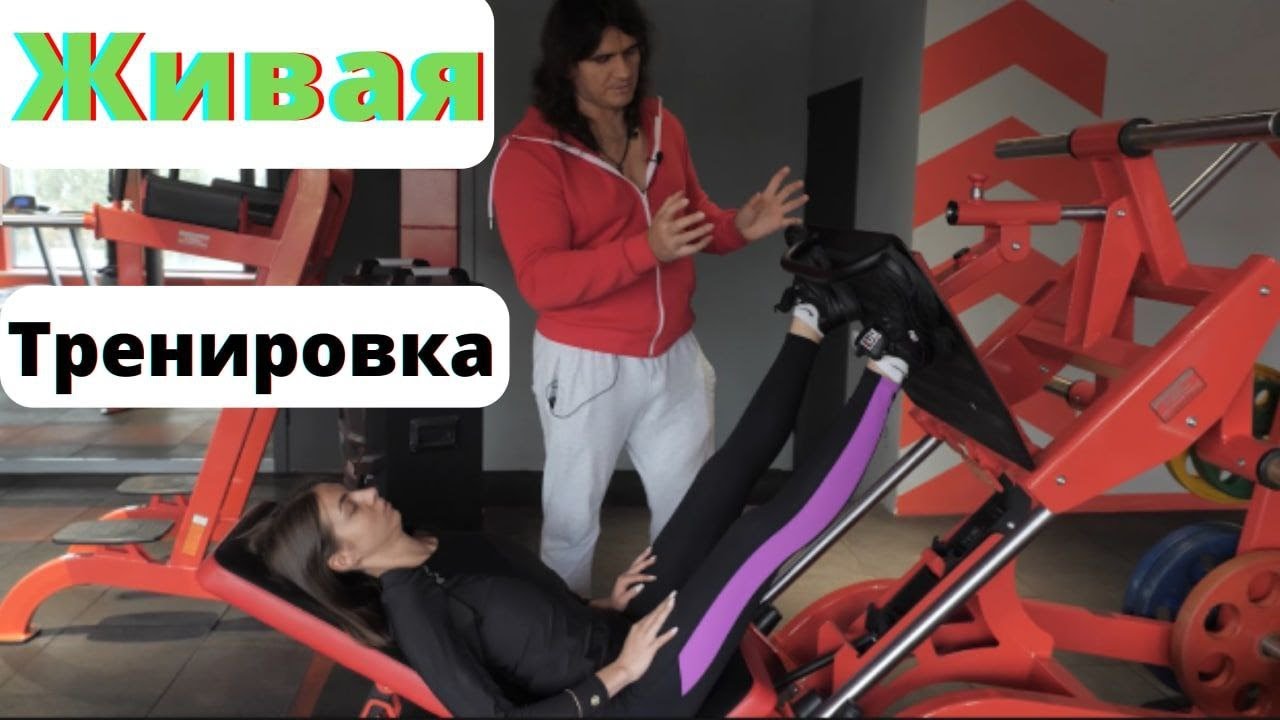 Тренировка спины и ног - Мастер класс - Андрей Труш