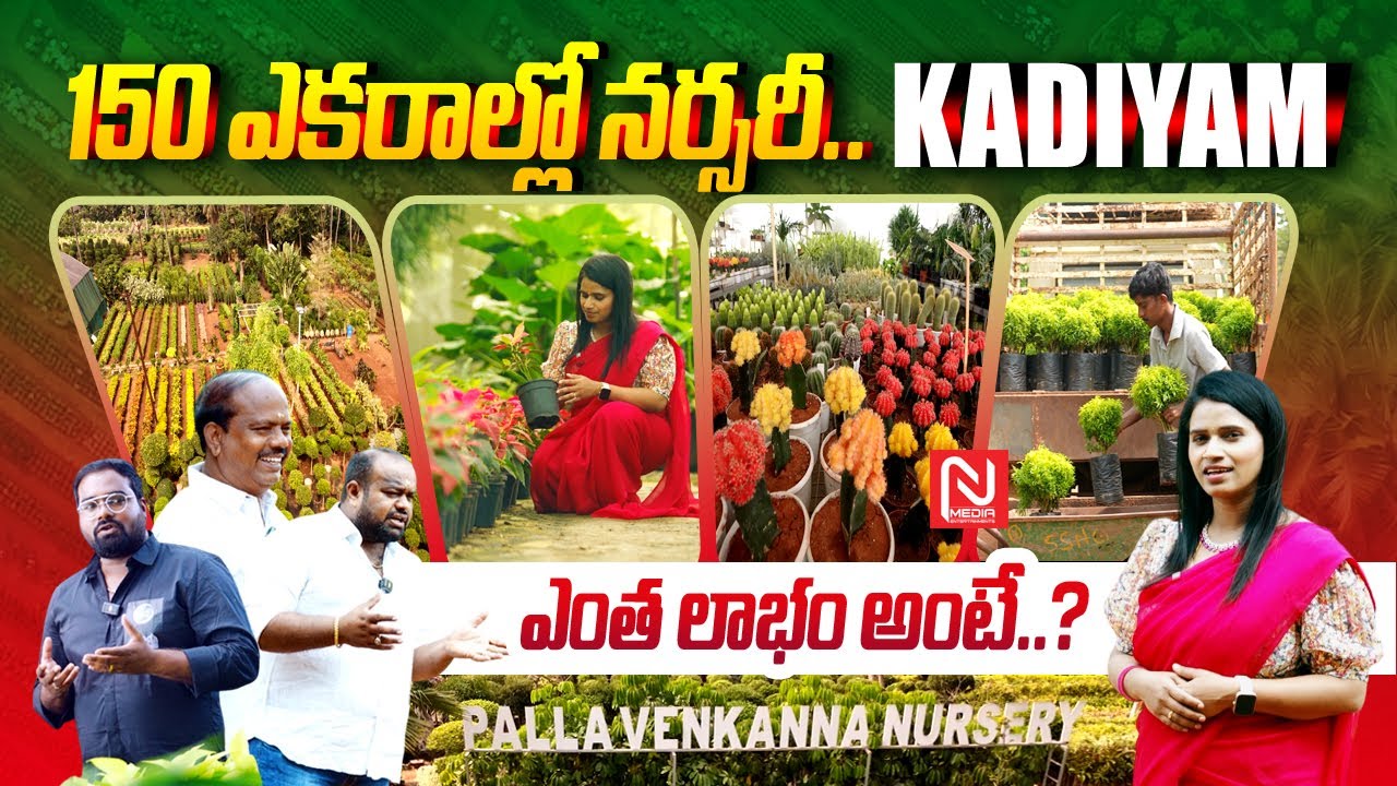 150 ఎకరాల్లో నర్సరీ.! || Kadiyam Nursery Plants || Kadiyapu Lanka Nurseries ||  ​⁠@NMediaEnt