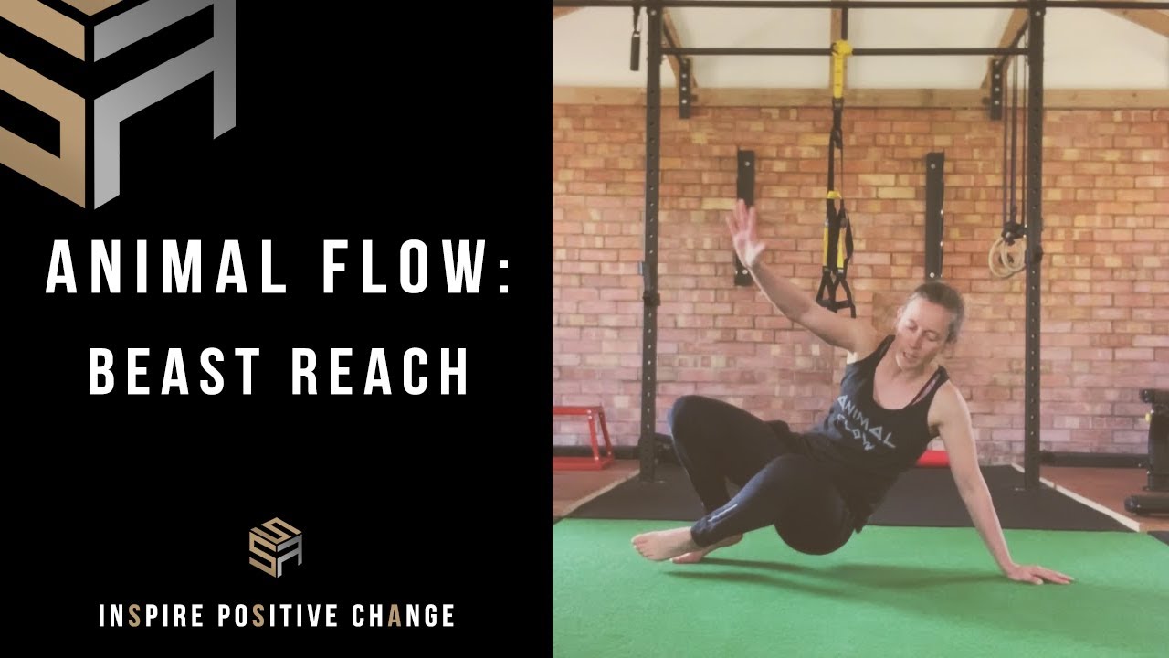 Animal Flow Demo: Beast Reach
