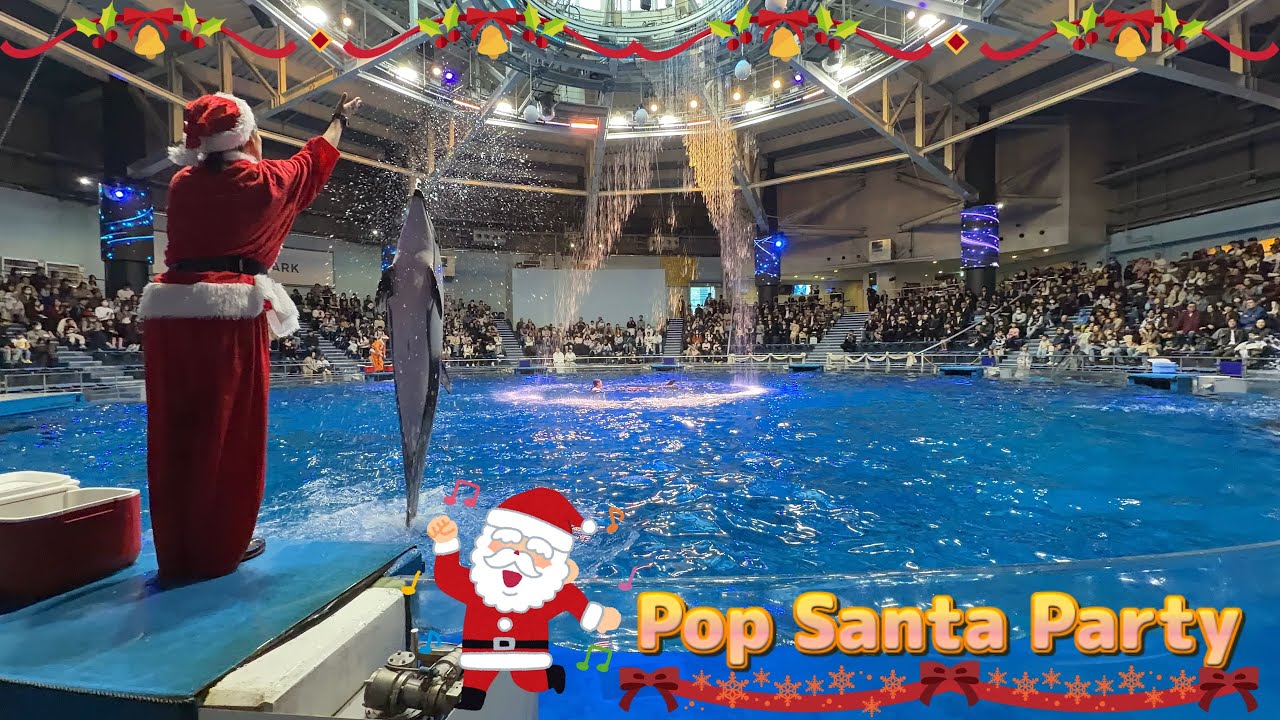【完全版】マクセルアクアパーク品川 ドルフィンパフォーマンス（イルカショー）　デイVer.「Pop Santa Party」【4K】