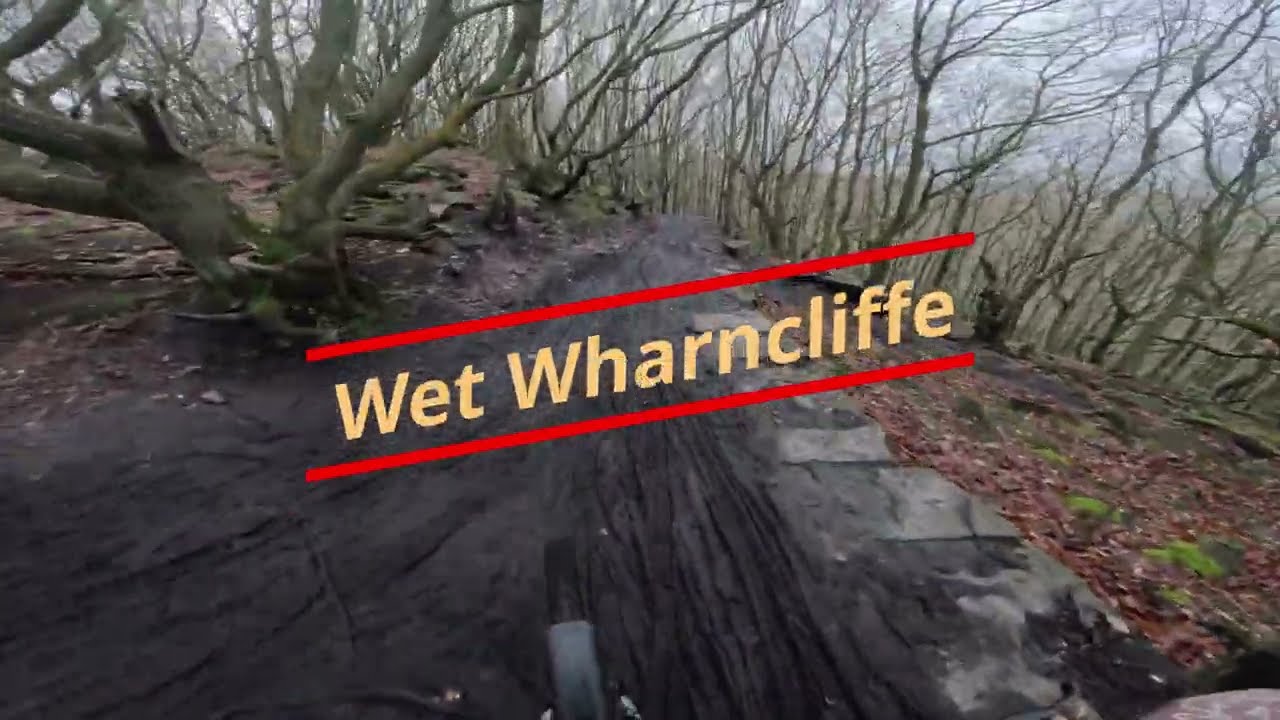 Wet Wharncliffe Woods