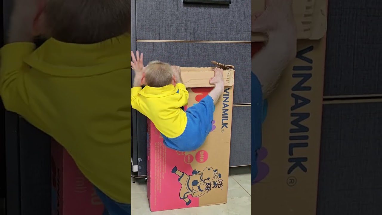 The mischief of baby monkeys #short  #babymonkey #animal