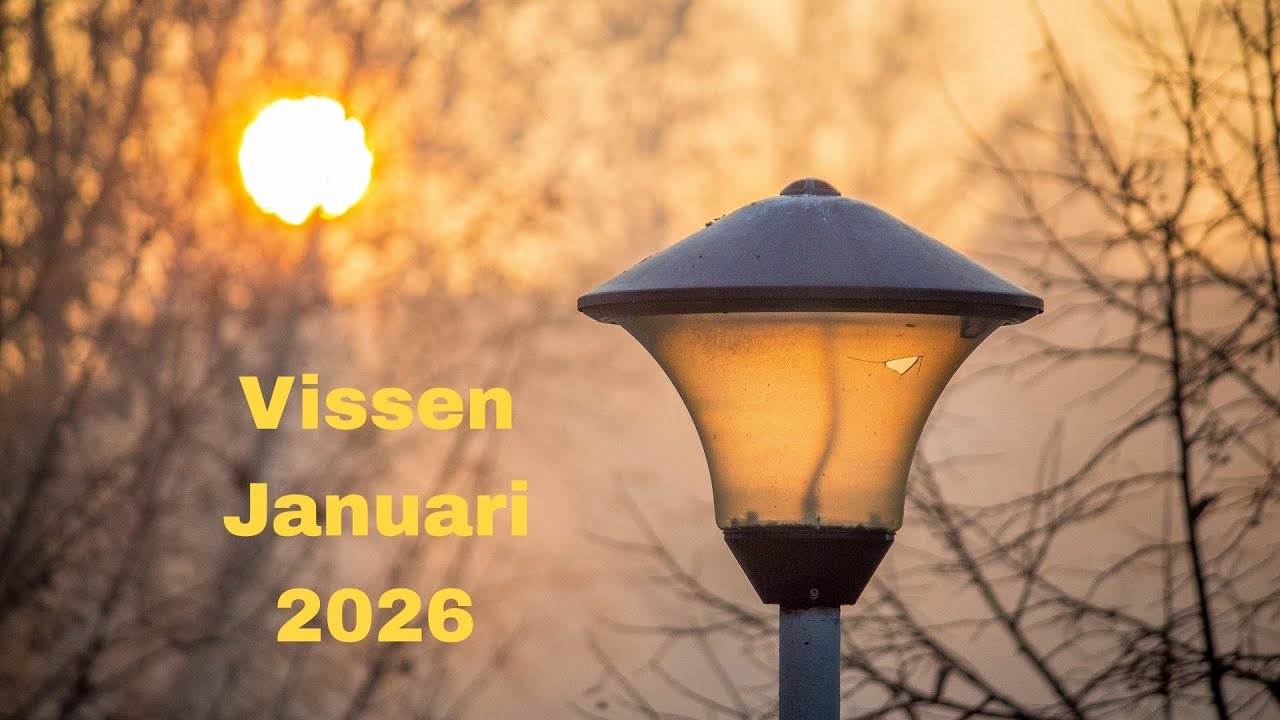 Kaartlegging voor het sterrenteken Vissen - Januari 2026 ♓️