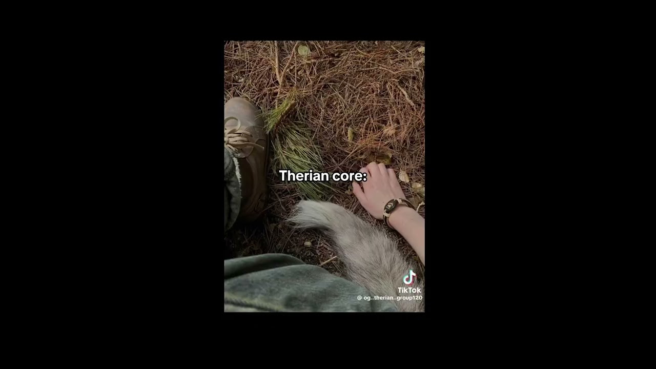👾🐺🦇therian TikTok comp👾🦇🐺 (my first)