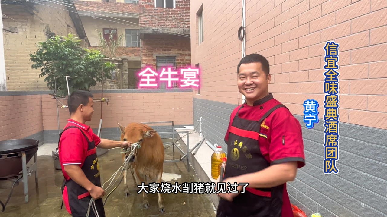 广东罗定土豪全牛宴！厨师加工11种吃法，吃遍牛身上每一个部位，果然是牛气冲天！农村酒席现场烹饪美食，加长版合集。