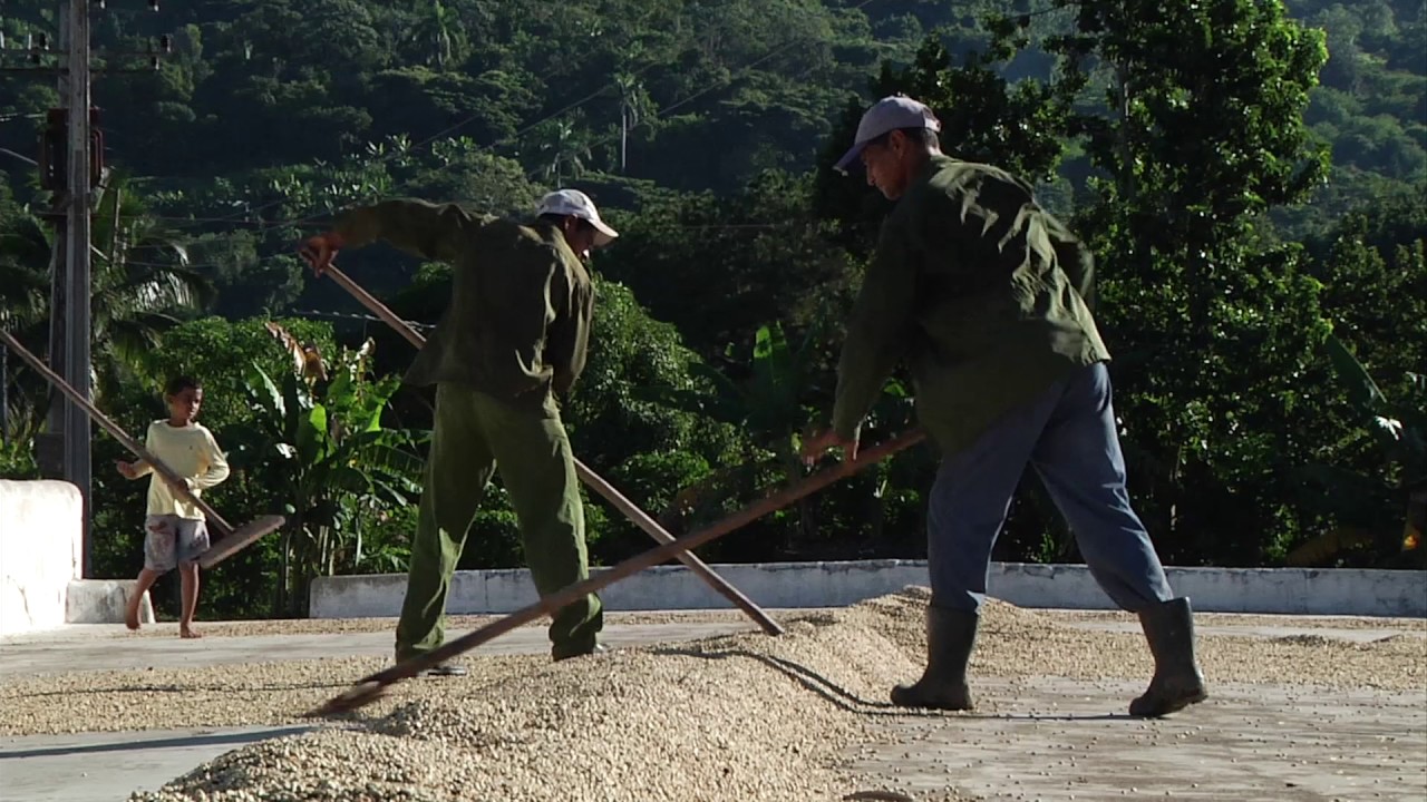 CafédiVino